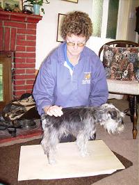 Sue Julian - canine massage therapist
